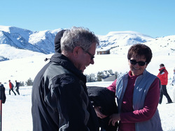 Illustration de la galerie