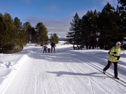 Illustration de la galerie