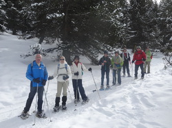 Illustration de la galerie