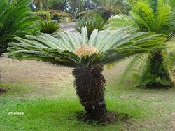 Illustration de la galerie