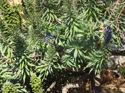 Illustration de la galerie