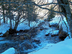 Illustration de la galerie