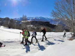 Illustration de la galerie