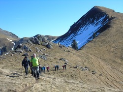 Illustration de la galerie