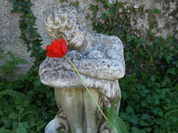 Illustration de la galerie