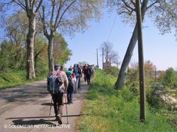 Illustration de la galerie