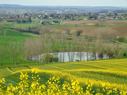 Illustration de la galerie