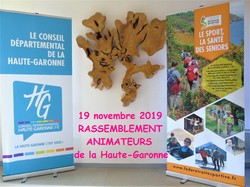 Illustration de la galerie