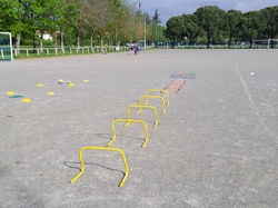 Illustration de la galerie