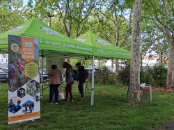 Illustration de la galerie