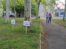 Illustration de la galerie