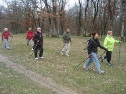 Illustration de la galerie