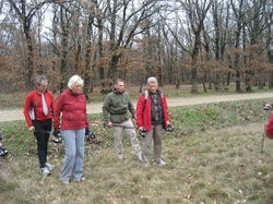 Illustration de la galerie