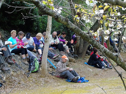 Illustration de la galerie