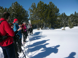 Illustration de la galerie