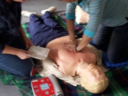 Illustration de la galerie